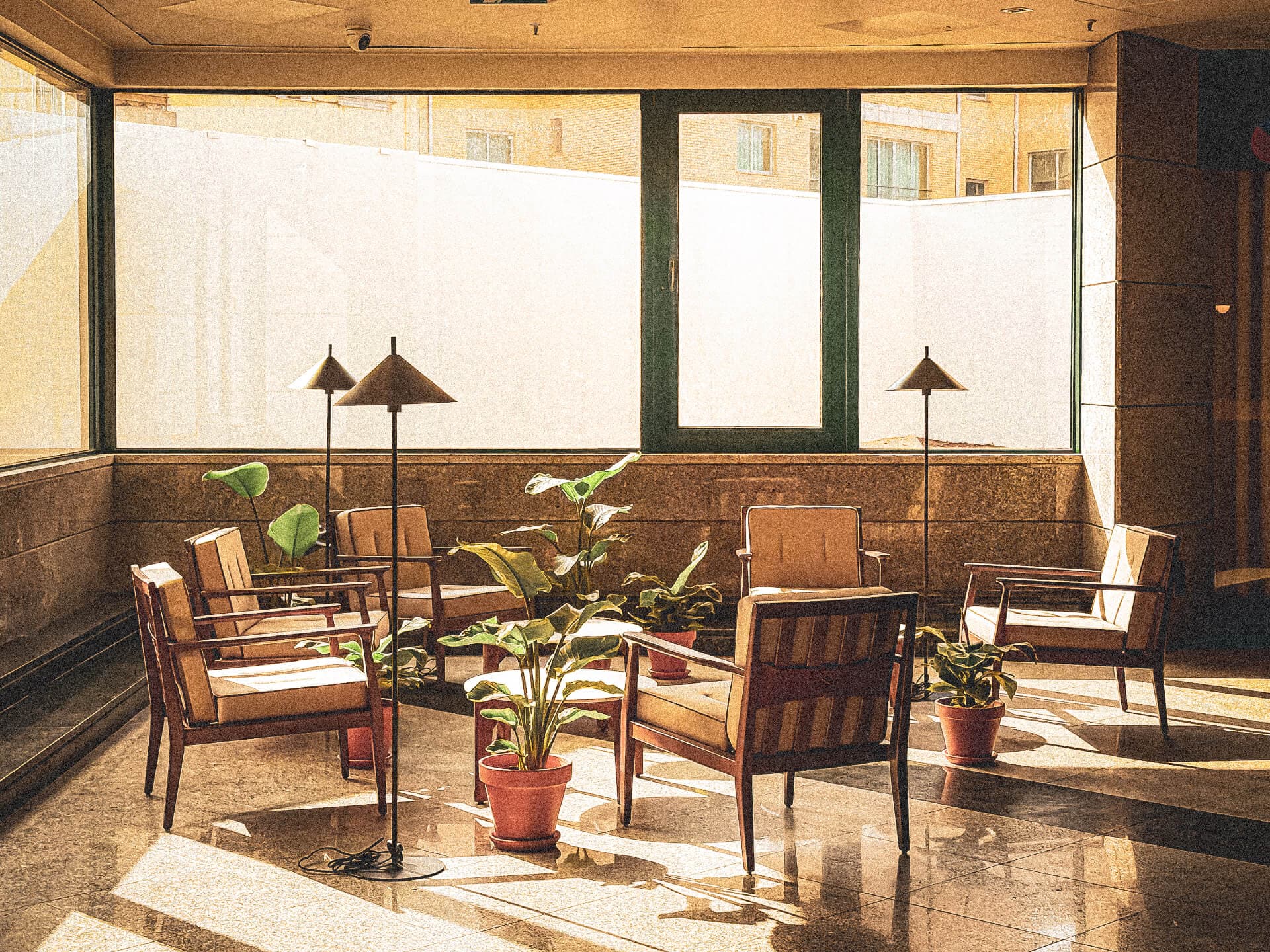 Sunlit lobby with mid-century chairs and indoor plants