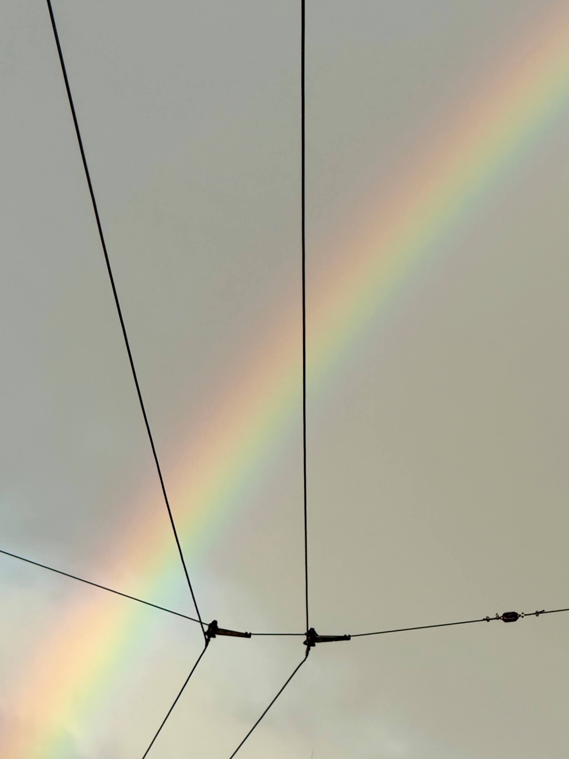 Rainbow arching behind power lines and tram cables